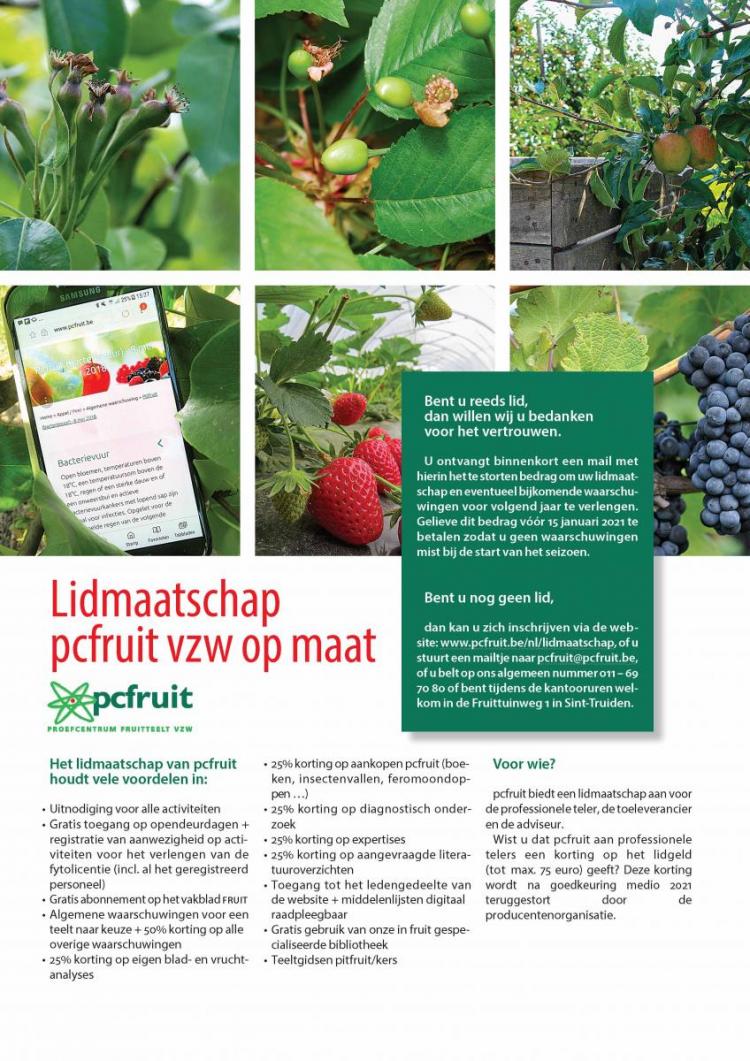 Lidmaatschap